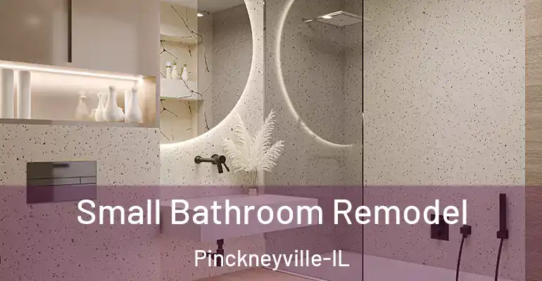 inner Bathroom imggen Small Bathroom Remodel Pinckneyville-IL