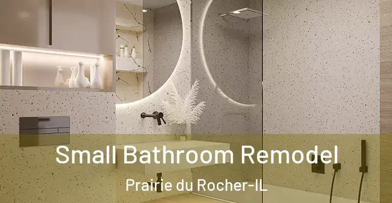 inner Bathroom imggen Small Bathroom Remodel Prairie du Rocher-IL