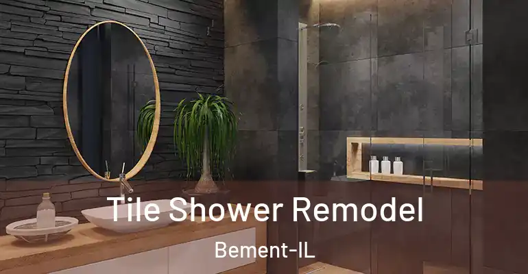 inner Bathroom imggen Tile Shower Remodel Bement-IL