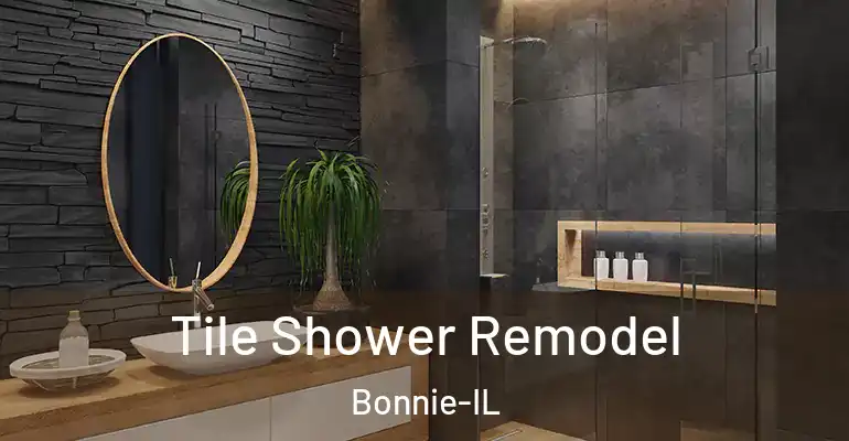 inner Bathroom imggen Tile Shower Remodel Bonnie-IL
