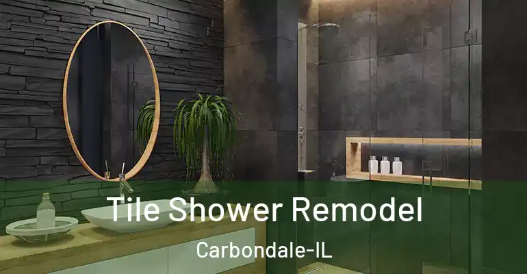 inner Bathroom imggen Tile Shower Remodel Carbondale-IL