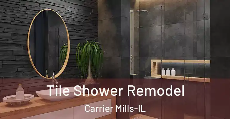 inner Bathroom imggen Tile Shower Remodel Carrier Mills-IL