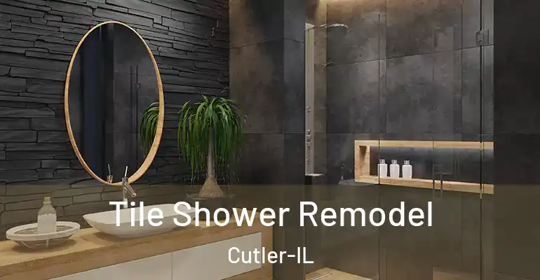 inner Bathroom imggen Tile Shower Remodel Cutler-IL
