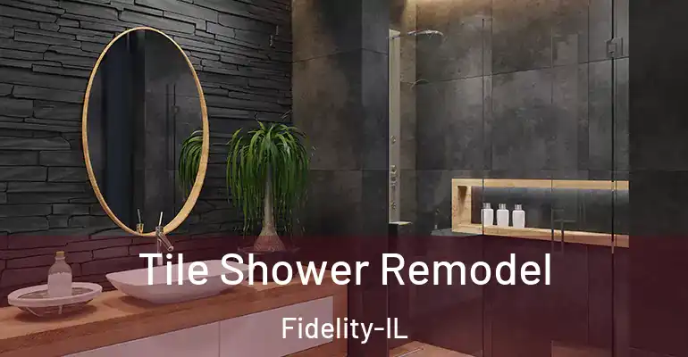 inner Bathroom imggen Tile Shower Remodel Fidelity-IL