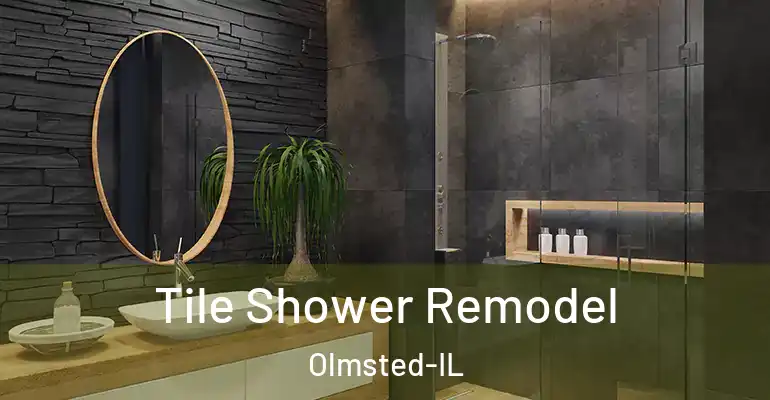 inner Bathroom imggen Tile Shower Remodel Olmsted-IL