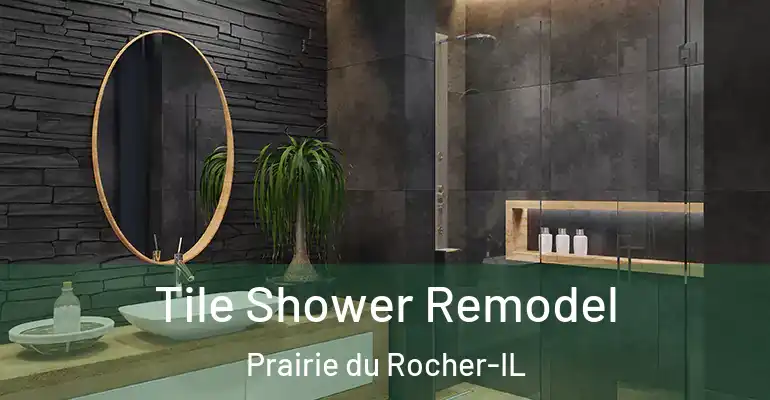 inner Bathroom imggen Tile Shower Remodel Prairie du Rocher-IL