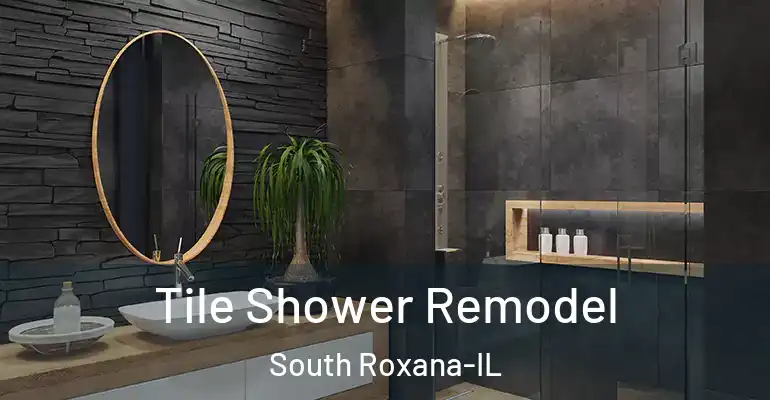 inner Bathroom imggen Tile Shower Remodel South Roxana-IL