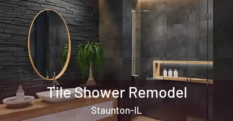 inner Bathroom imggen Tile Shower Remodel Staunton-IL