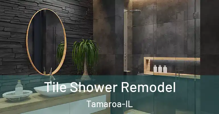 inner Bathroom imggen Tile Shower Remodel Tamaroa-IL