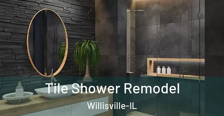 inner Bathroom imggen Tile Shower Remodel Willisville-IL