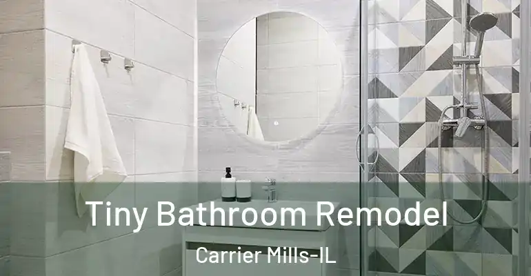 inner Bathroom imggen Tiny Bathroom Remodel Carrier Mills-IL