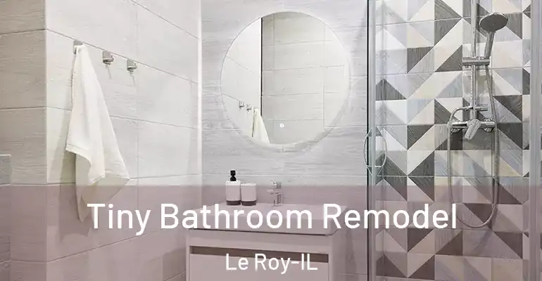 inner Bathroom imggen Tiny Bathroom Remodel Le Roy-IL