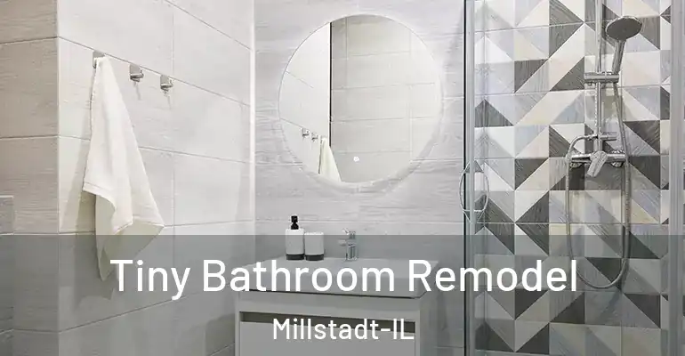 inner Bathroom imggen Tiny Bathroom Remodel Millstadt-IL