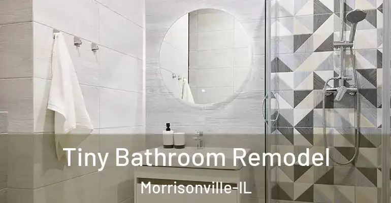 inner Bathroom imggen Tiny Bathroom Remodel Morrisonville-IL