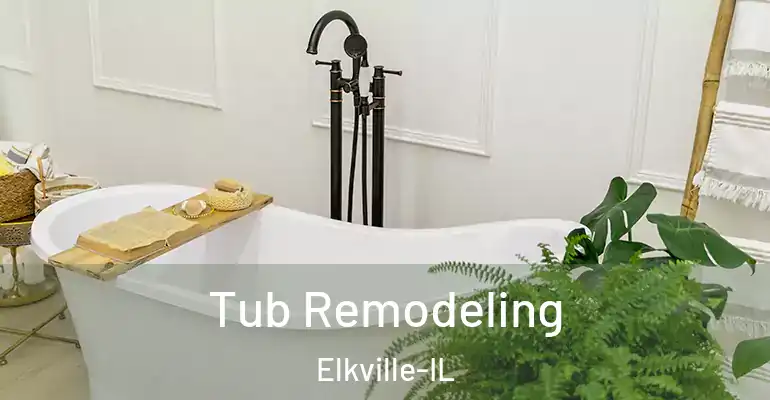 inner Bathroom imggen Tub Remodeling Elkville-IL