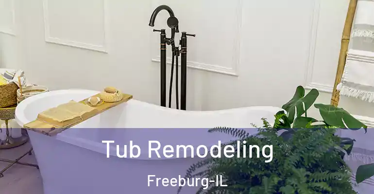 inner Bathroom imggen Tub Remodeling Freeburg-IL