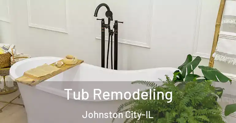 inner Bathroom imggen Tub Remodeling Johnston City-IL