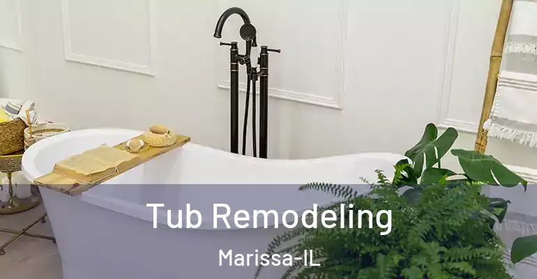 inner Bathroom imggen Tub Remodeling Marissa-IL
