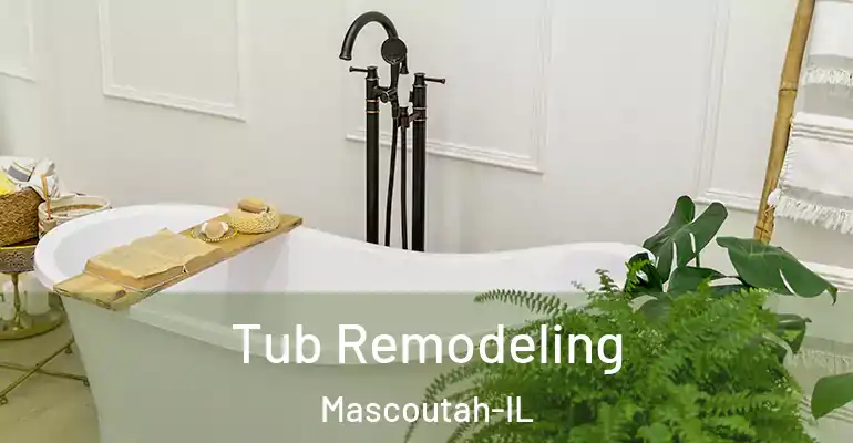 inner Bathroom imggen Tub Remodeling Mascoutah-IL