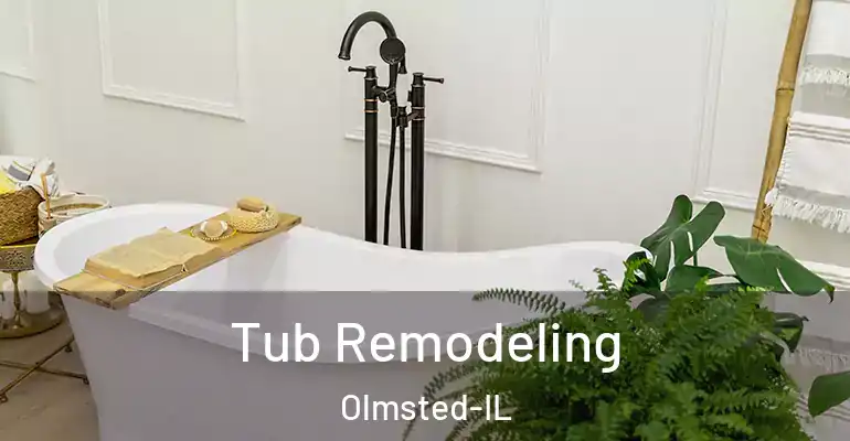 inner Bathroom imggen Tub Remodeling Olmsted-IL