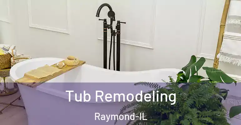 inner Bathroom imggen Tub Remodeling Raymond-IL
