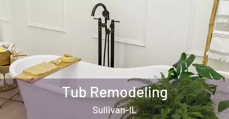 inner Bathroom imggen Tub Remodeling Sullivan-IL