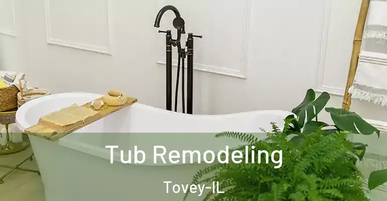 inner Bathroom imggen Tub Remodeling Tovey-IL