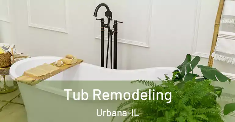 inner Bathroom imggen Tub Remodeling Urbana-IL