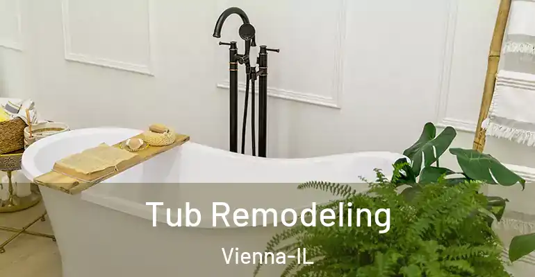 inner Bathroom imggen Tub Remodeling Vienna-IL