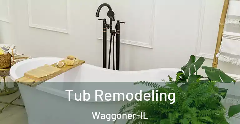 inner Bathroom imggen Tub Remodeling Waggoner-IL