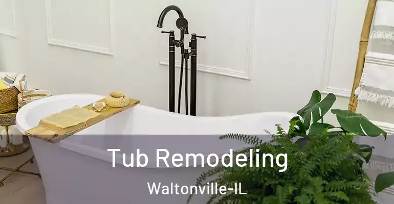 inner Bathroom imggen Tub Remodeling Waltonville-IL