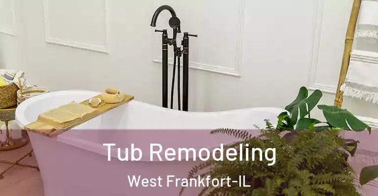 inner Bathroom imggen Tub Remodeling West Frankfort-IL