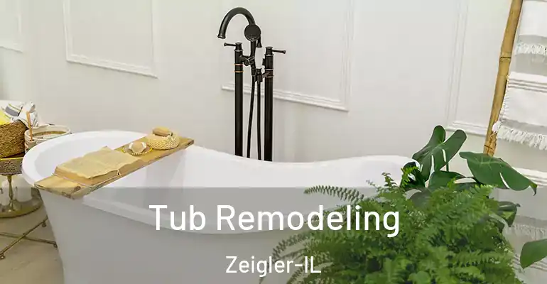 inner Bathroom imggen Tub Remodeling Zeigler-IL