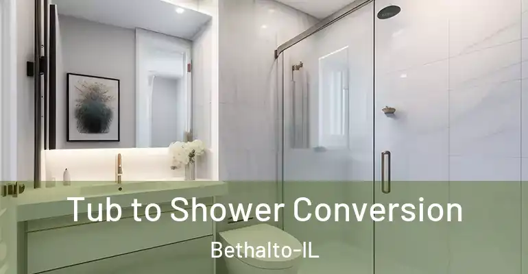 inner Bathroom imggen Tub to Shower Conversion Bethalto-IL