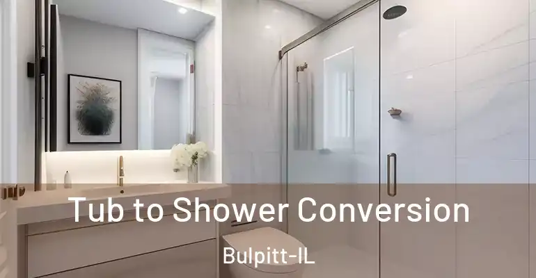 inner Bathroom imggen Tub to Shower Conversion Bulpitt-IL