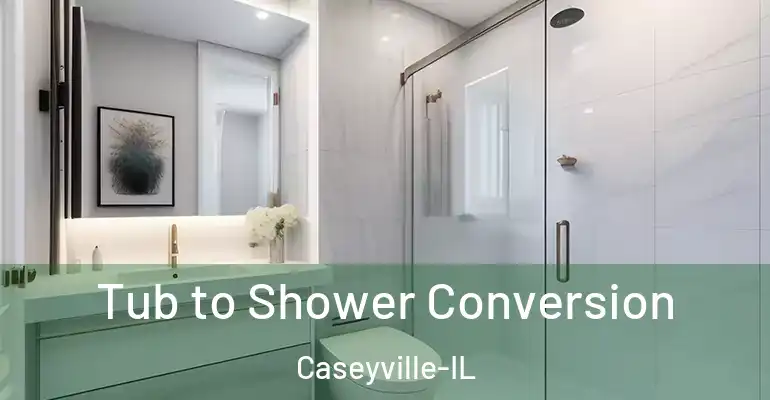 inner Bathroom imggen Tub to Shower Conversion Caseyville-IL