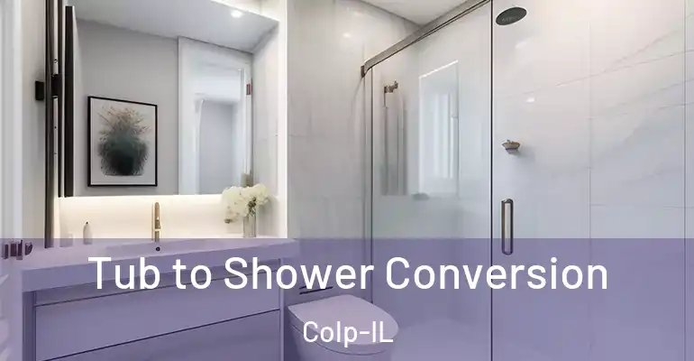 inner Bathroom imggen Tub to Shower Conversion Colp-IL