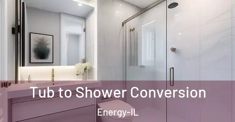 inner Bathroom imggen Tub to Shower Conversion Energy-IL