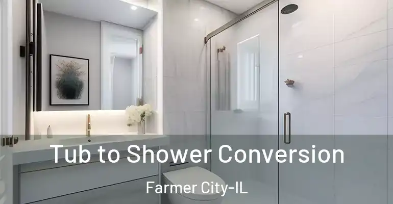 inner Bathroom imggen Tub to Shower Conversion Farmer City-IL