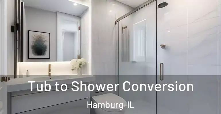 inner Bathroom imggen Tub to Shower Conversion Hamburg-IL