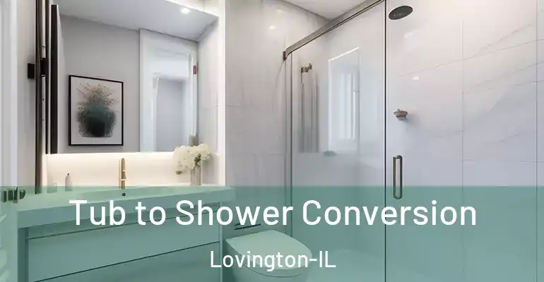 inner Bathroom imggen Tub to Shower Conversion Lovington-IL