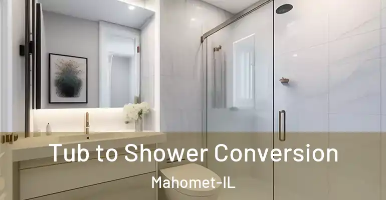 inner Bathroom imggen Tub to Shower Conversion Mahomet-IL