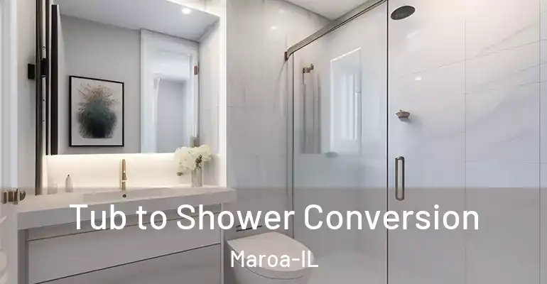 inner Bathroom imggen Tub to Shower Conversion Maroa-IL