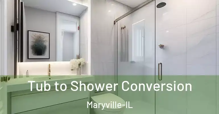 inner Bathroom imggen Tub to Shower Conversion Maryville-IL