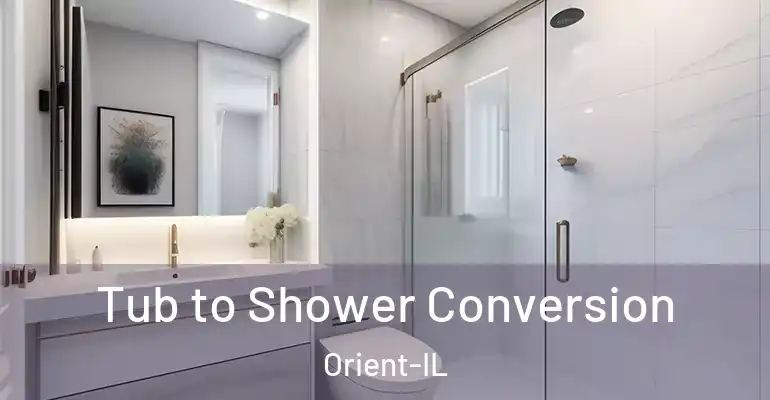 inner Bathroom imggen Tub to Shower Conversion Orient-IL