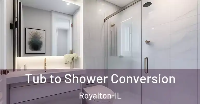 inner Bathroom imggen Tub to Shower Conversion Royalton-IL