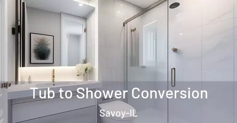 inner Bathroom imggen Tub to Shower Conversion Savoy-IL