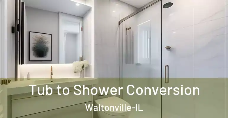 inner Bathroom imggen Tub to Shower Conversion Waltonville-IL