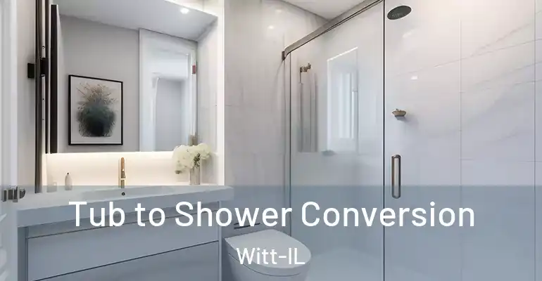 inner Bathroom imggen Tub to Shower Conversion Witt-IL
