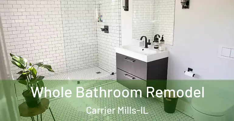 inner Bathroom imggen Whole Bathroom Remodel Carrier Mills-IL